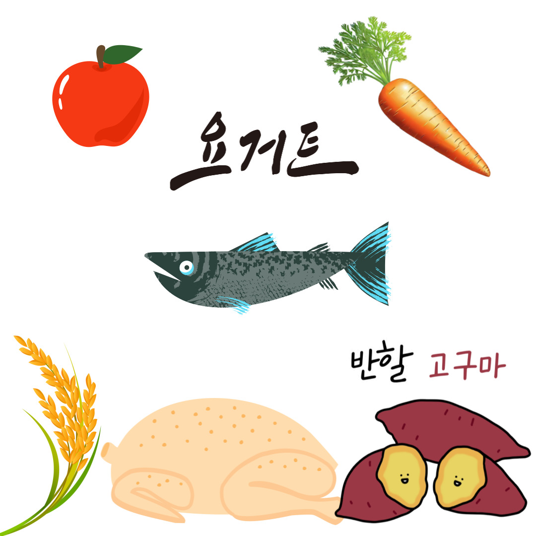 반려견에게 좋은 음식과 간식