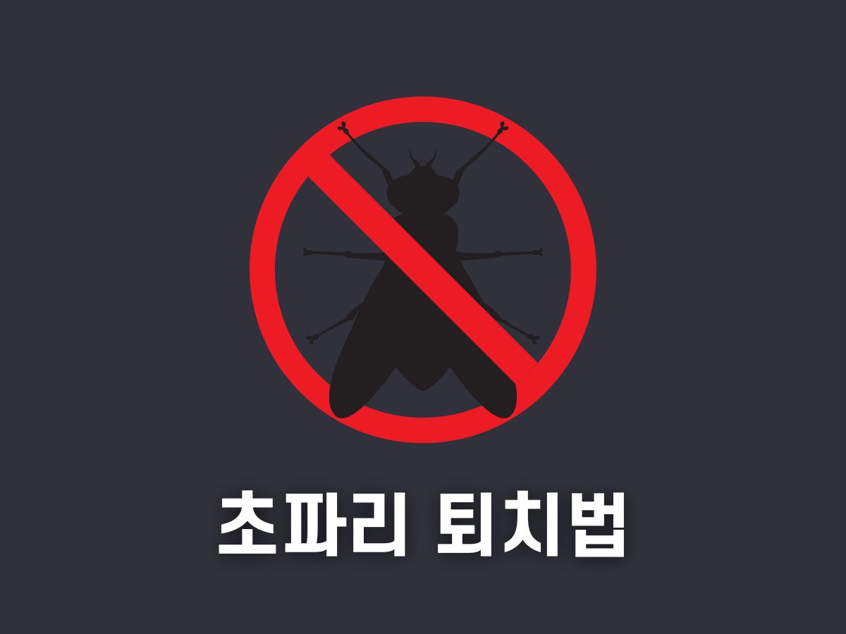 초파리 퇴치법