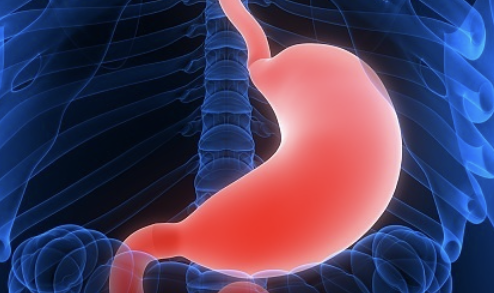 십이지장 궤양 증상 10가지 총정리 섬네일
