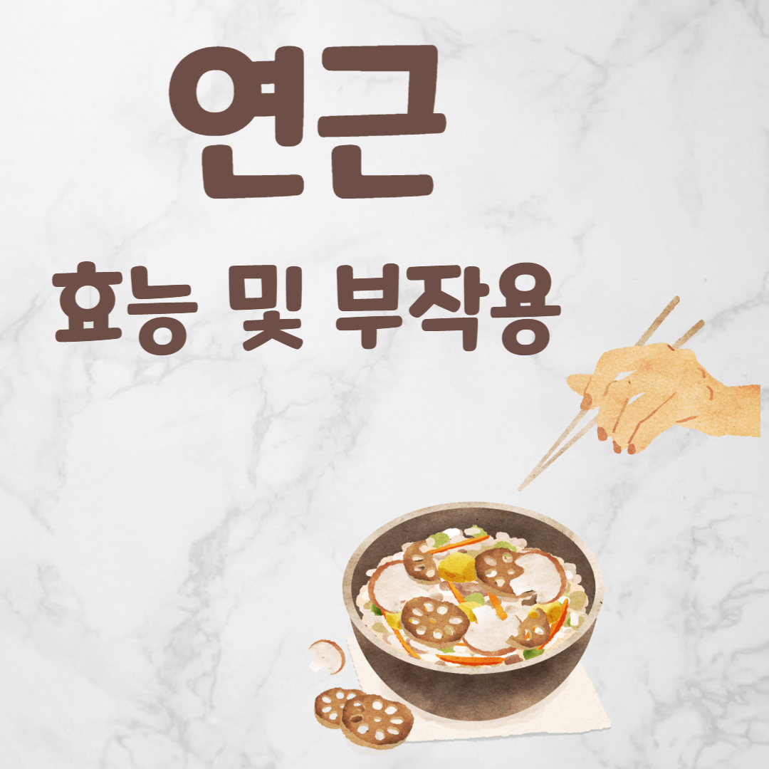 연근 효능 부작용