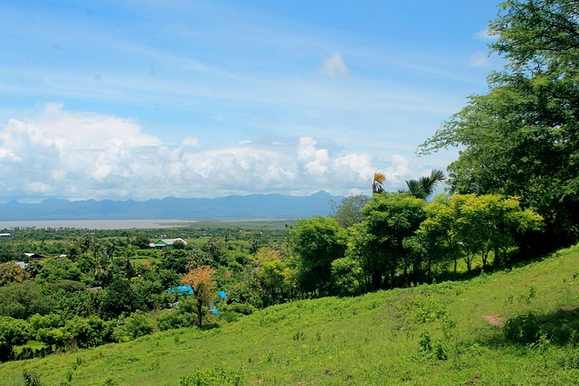 쿠팡와우회원해지하는법 완벽 가이드! PC·모바일 모두 가능