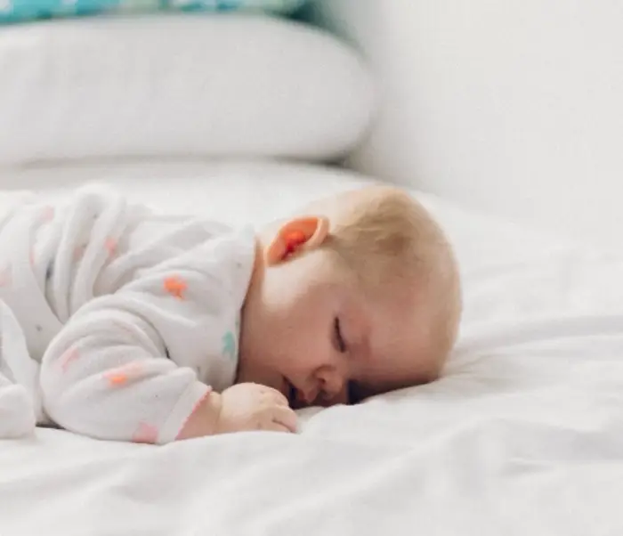 빈대 물린자국 증상