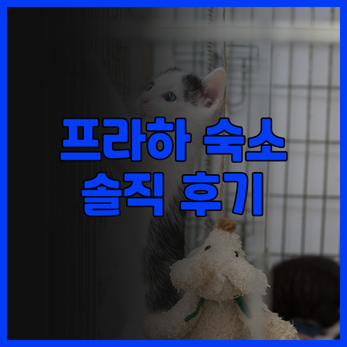 시티 팝 2나이트 프라하 솔직 후기!..