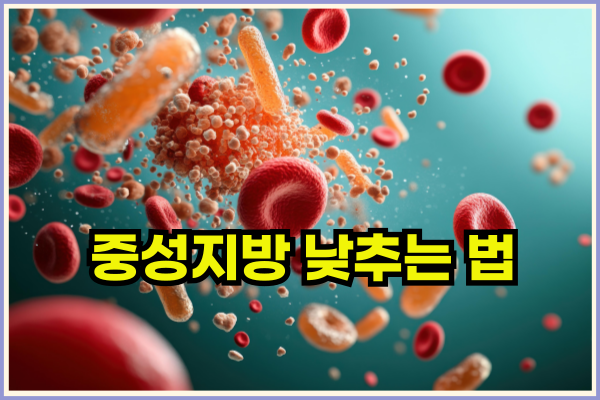 중성지방낮추는방법