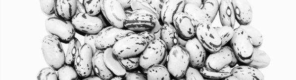 강낭콩 보관법: 밀폐 용기 활용