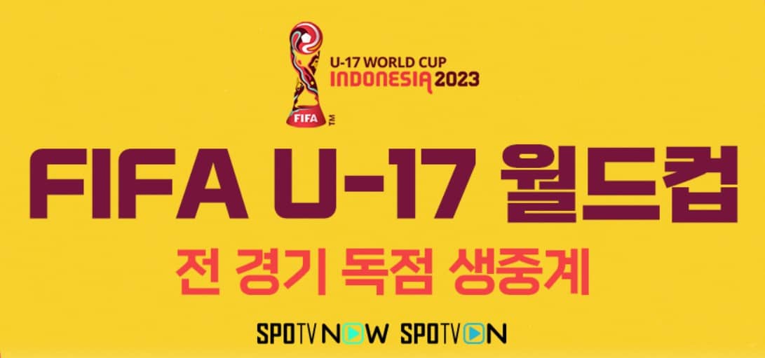 FIFAU-17월드컵축구한국프랑스