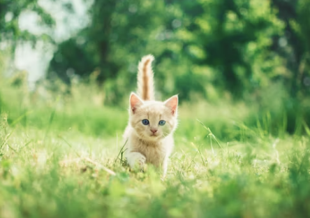 수능 응원 문구