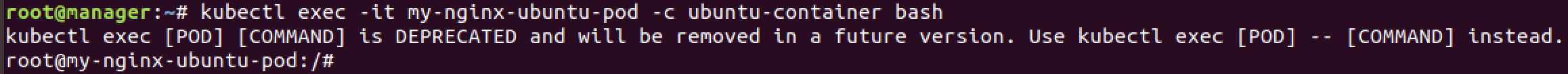 kubectl exec c option