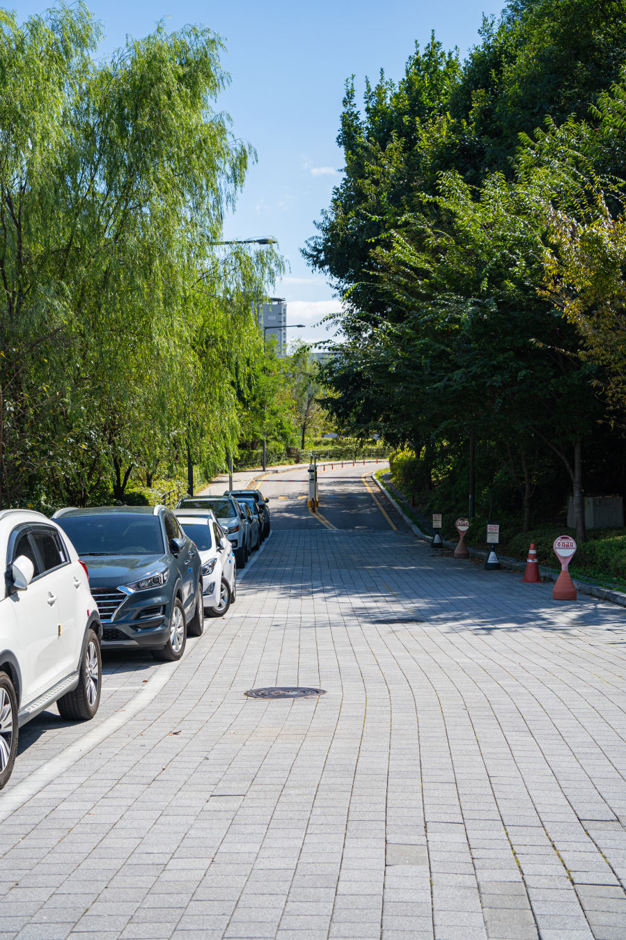 광교 푸른숲 도서관 주차장
