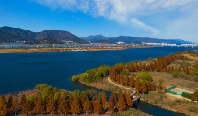 부산 화명생태공원 메타세콰이어길 전경