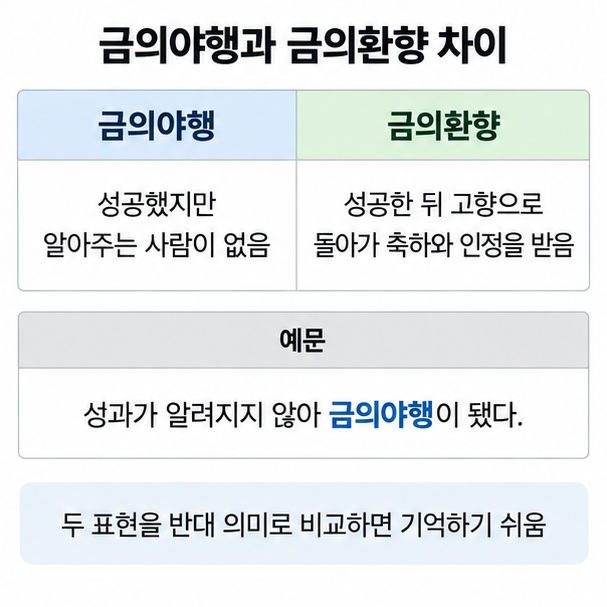 금의야행과 금의환향의 차이와 성취가 알려지지 않는 상황에서의 실제 쓰임을 비교한 인포그래픽
