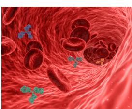위암-초기-증상-빈혈