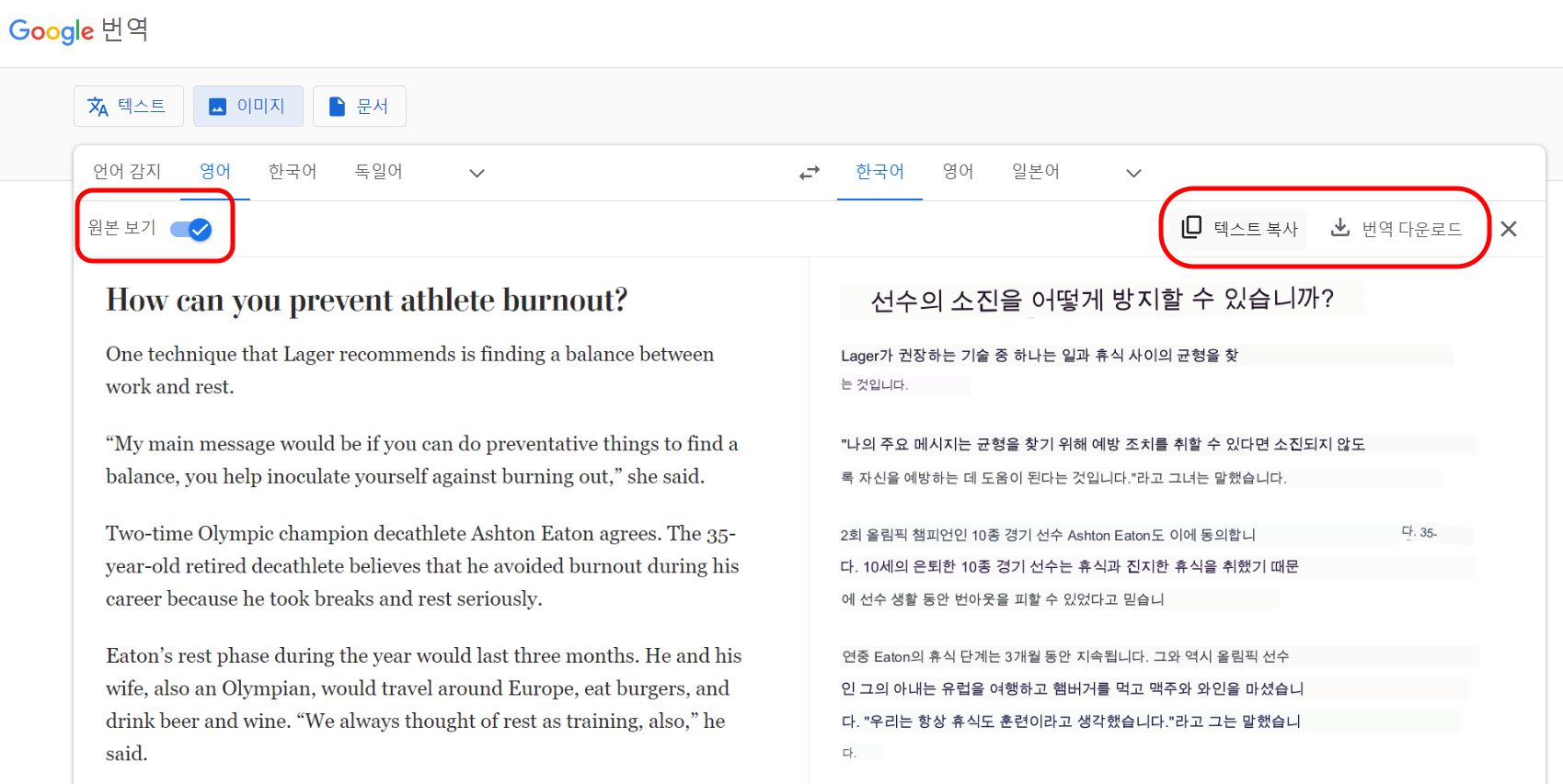 구글 아미지 번역 결과