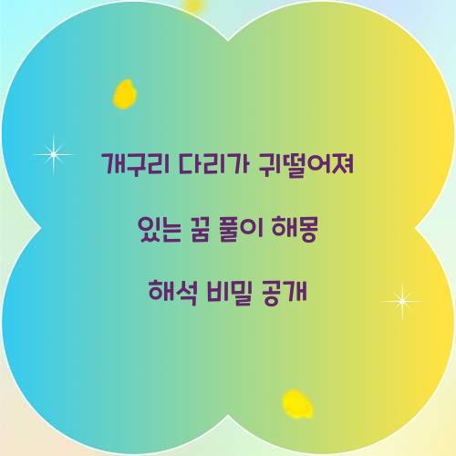 개구리 다리가 귀떨어져 있는 꿈 풀이 해몽 해석