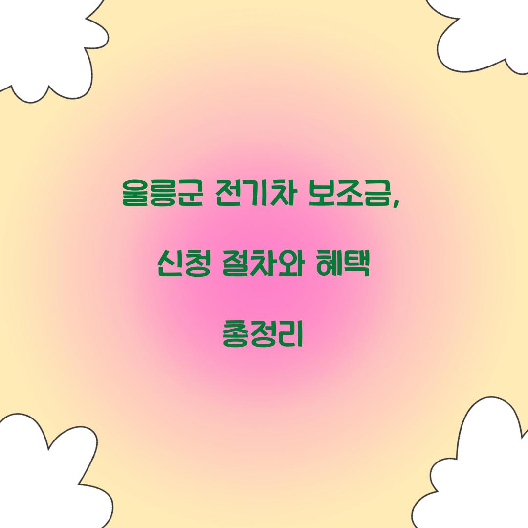 울릉군 전기차 보조금