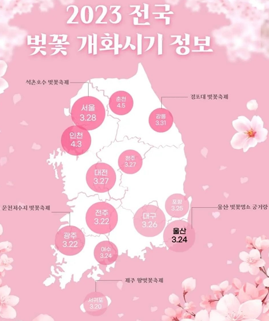 벚꽃 캠핑장