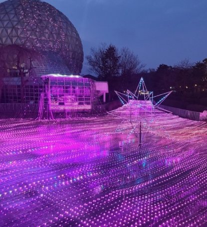 365일 빛축제 가을에 꼭 가봐야할 빛축제 BEST 5