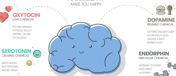 호르몬 변화가 감정에 영향을 미치는 몸과 뇌의 관계 표현