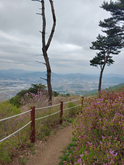 광모봉504를-거처-왕방산704로