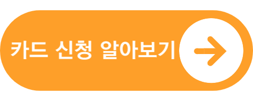 선불일반카드