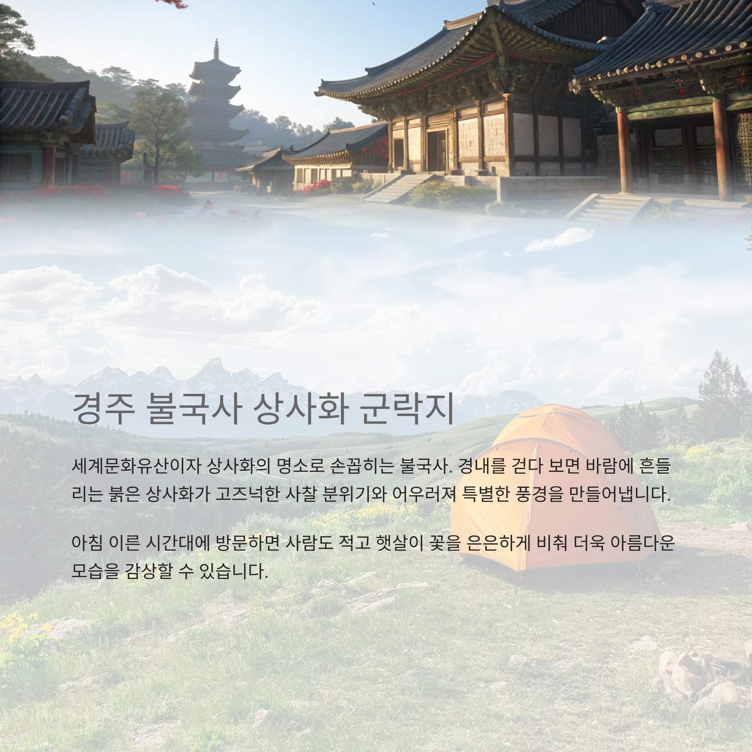 9월 여행지 추천, 상사화와 꽃축제로 물드는 가을