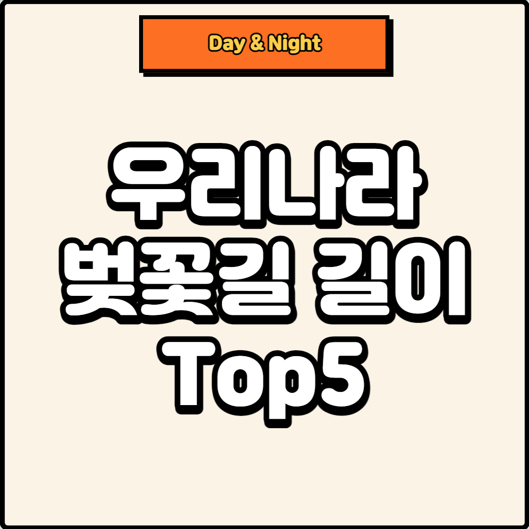 썸네일, 벚꽃길 길이 Top5
