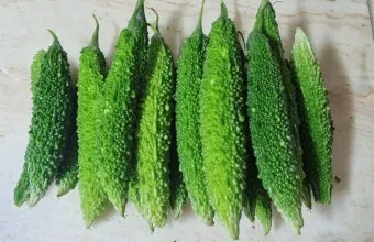 여주 가볼만한곳 베스트10 완벽 관광 가이드_7