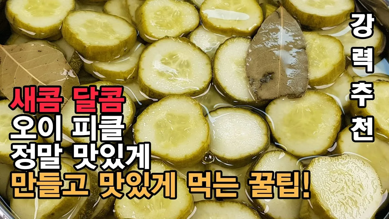 오이피클 만드는법 황금레시피_5