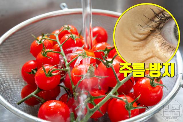 최고의 건강식품 세계보건기구 좋은음식 토마토 전립선암