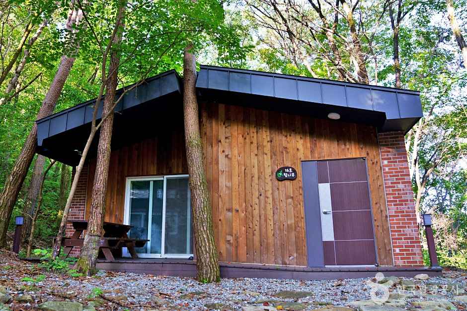 조령산 자연휴양림 숙박시설