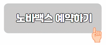 노바백스 백신 접종 신청 예약(+부작용,후기) - 노바백스 예약 정보 노바백스 백신 접종 신청 예약(+부작용,후기) - 노바백스 예약 정보