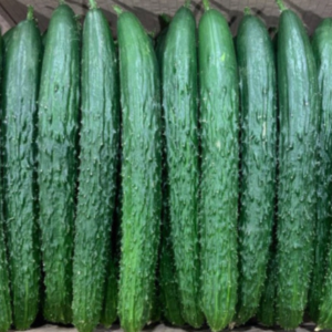 6월-제철-채소-오이