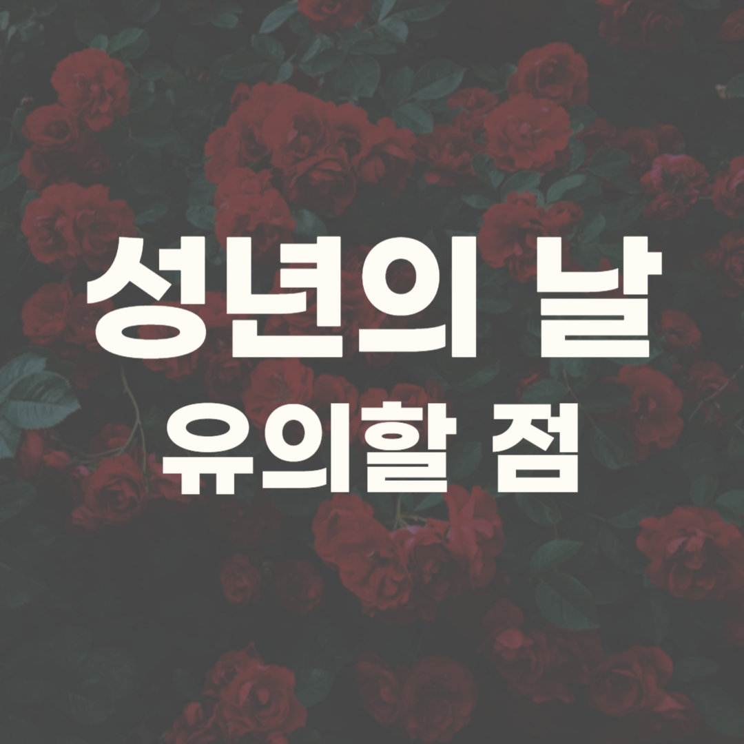 성년의 날 부모가 주는 선물