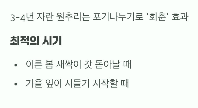 기쁨을 나누는 법&amp;#44; 포기나누기
