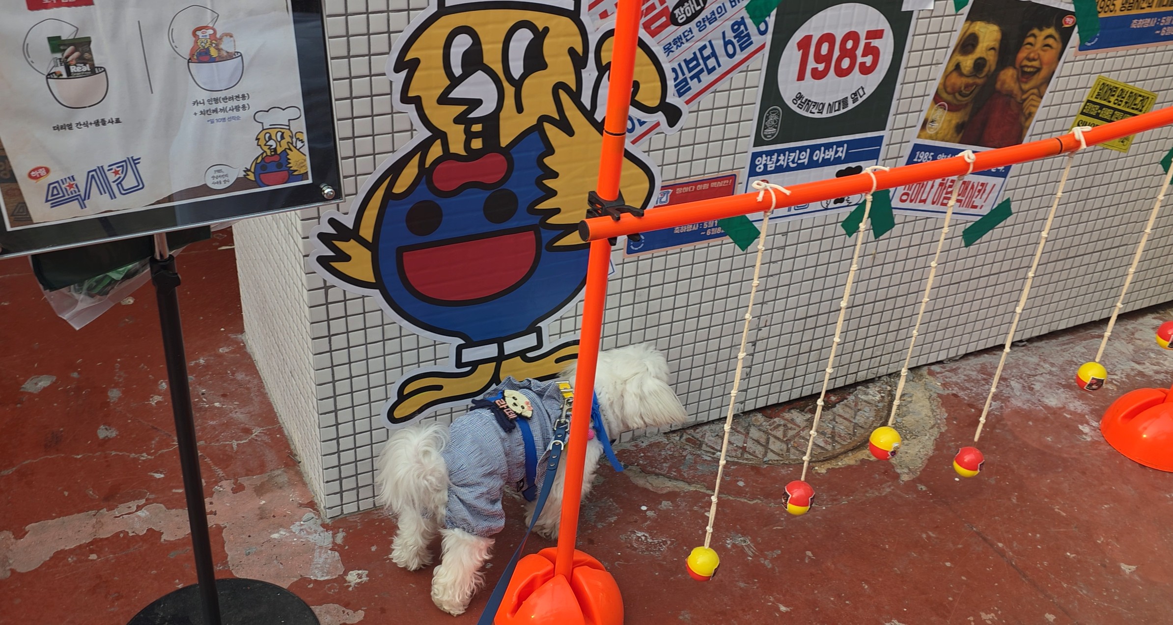 장하다 하림 맥시칸 팝업스토어