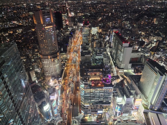 도쿄 자유여행 추천 관광명소 디즈니랜드 놀이기구 추천 TOP 7