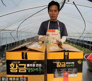 배추수확의달인