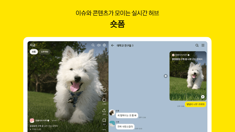 카카오톡 업데이트