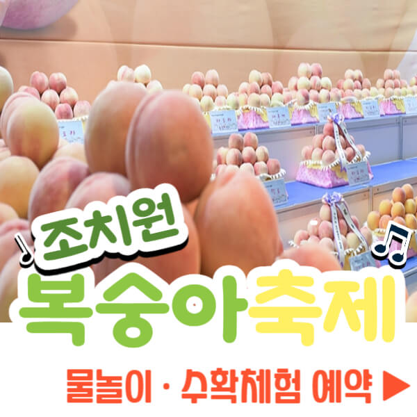 조치원 복숭아 축제 체험 예약