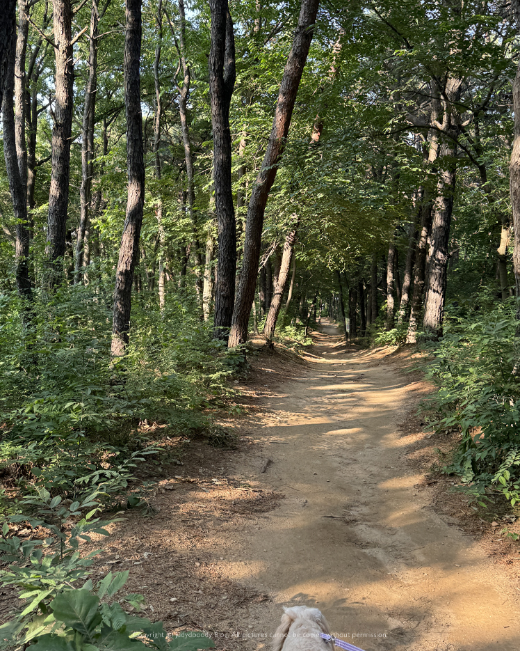 모담산 입구