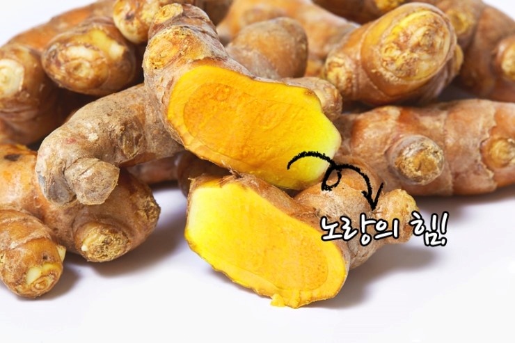 울금을-반으로-자름