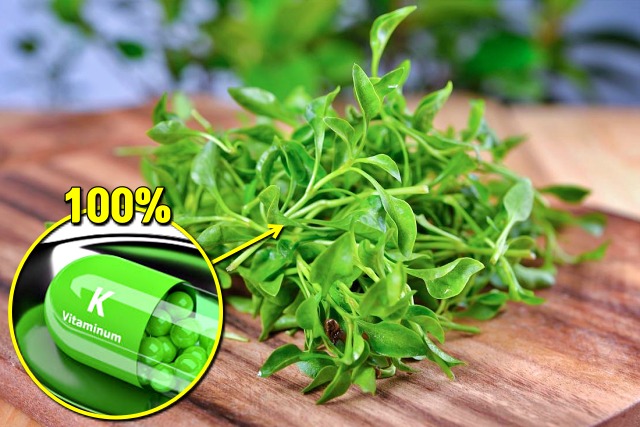 물냉이,단백질 많은 채소,다이어트