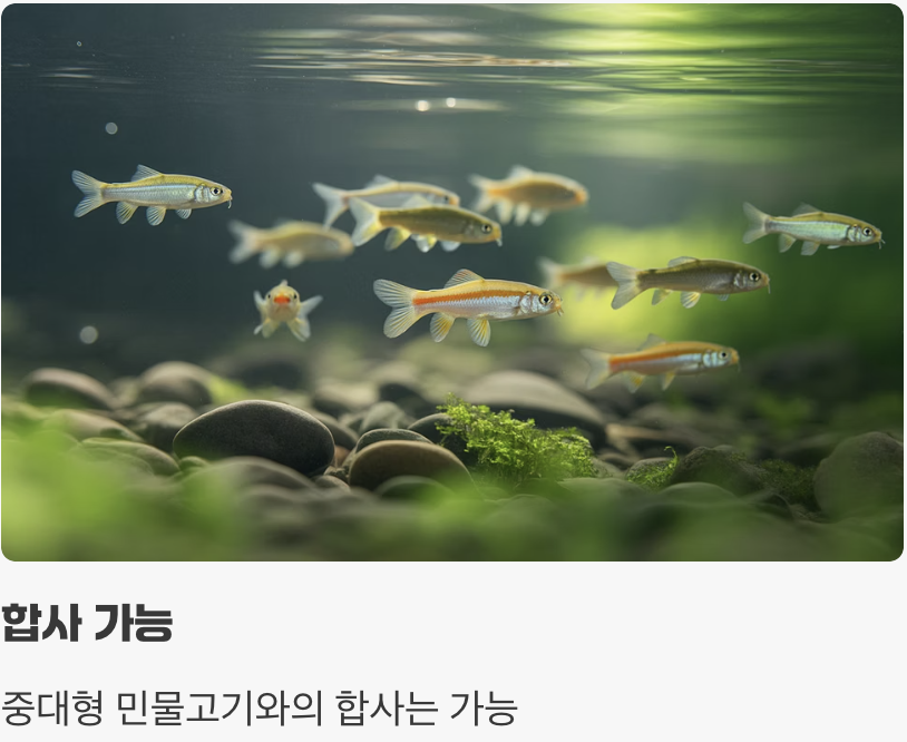 합사 - &amp;#39;입에 들어가는 모든 것&amp;#39;은 먹이