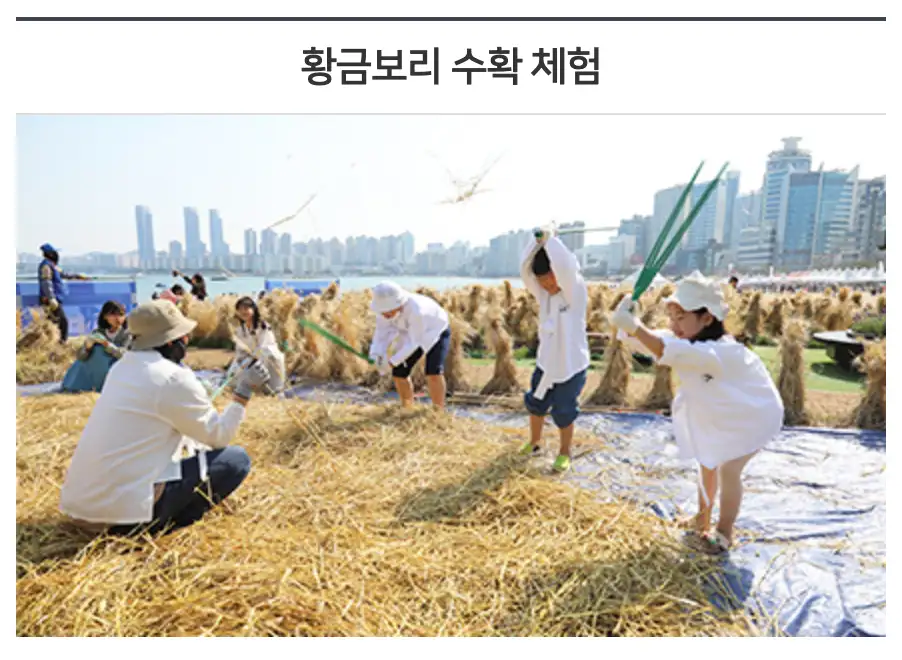 광안리 어방축제