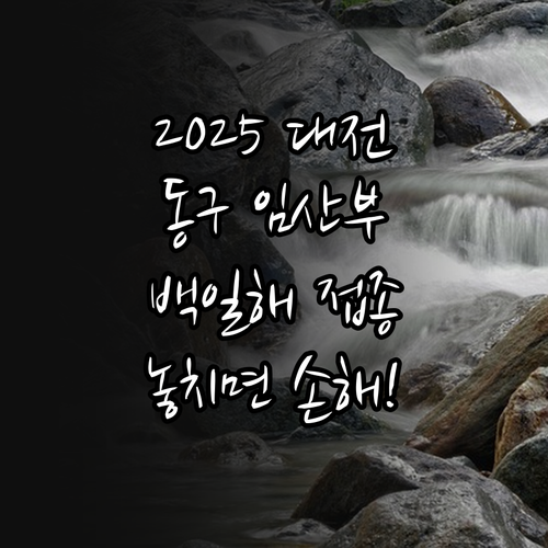 2025 대전 동구 임신부 백일해 접..
