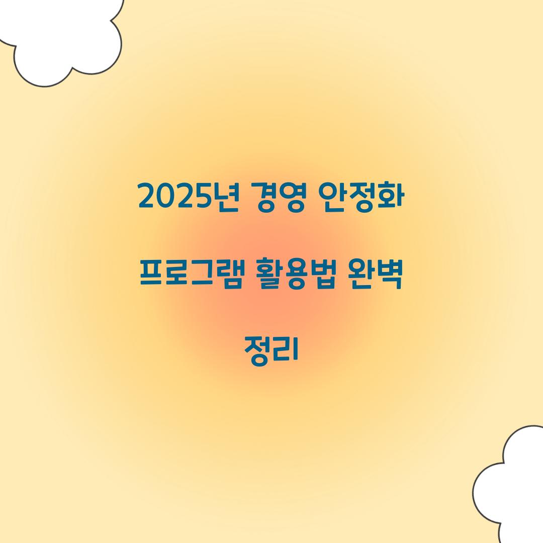 2025년 경영 안정화 프로그램