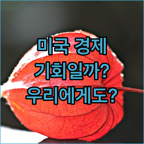 미국 경제 성장 기회?! 외국인 투자