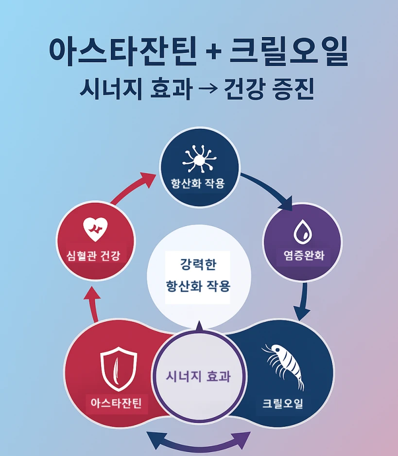 아스타잔틴과 크릴 오일의 결합된 건강 효능을 설명하는 인포그래픽.