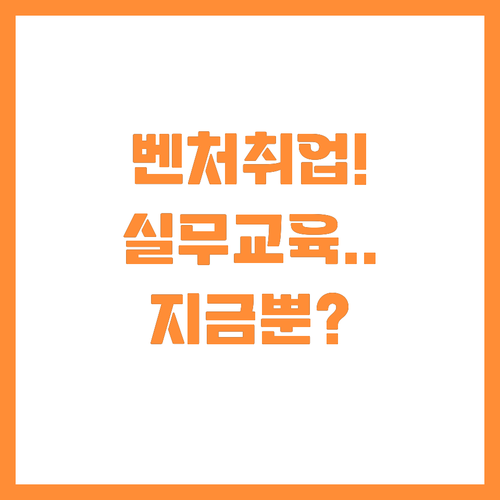 미취업 청년 주목 벤처기업 취업과 실..