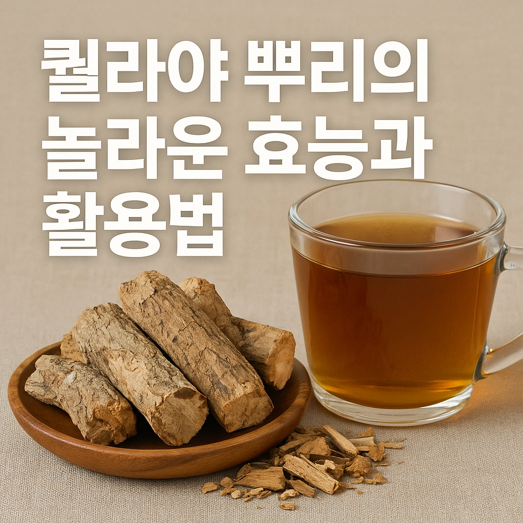 퀼라야 뿌리의 놀라운 효능과 활용법